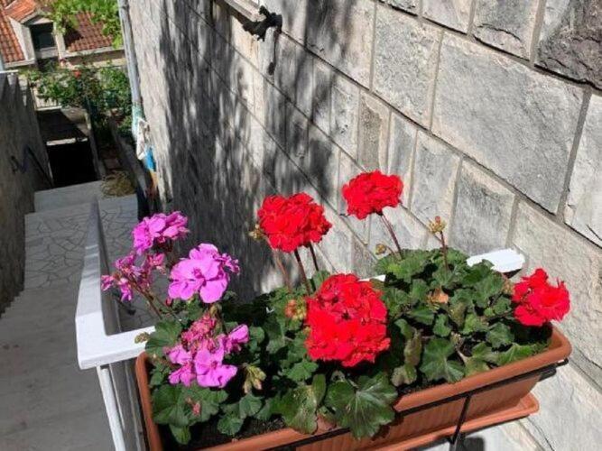 2 - Double With Shared Bathroom 1 - 6 Dubrovnik