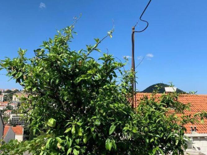 Apartment 2 - Double With Shared Bathroom 1 - 6 *