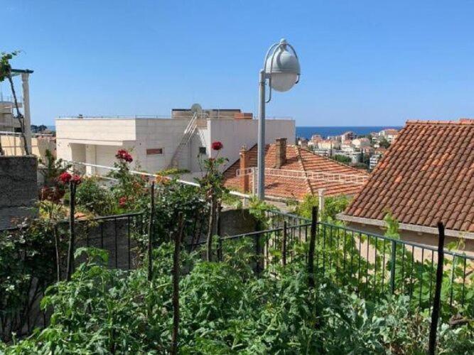 2 - Double With Shared Bathroom 1 - 6 Apartment