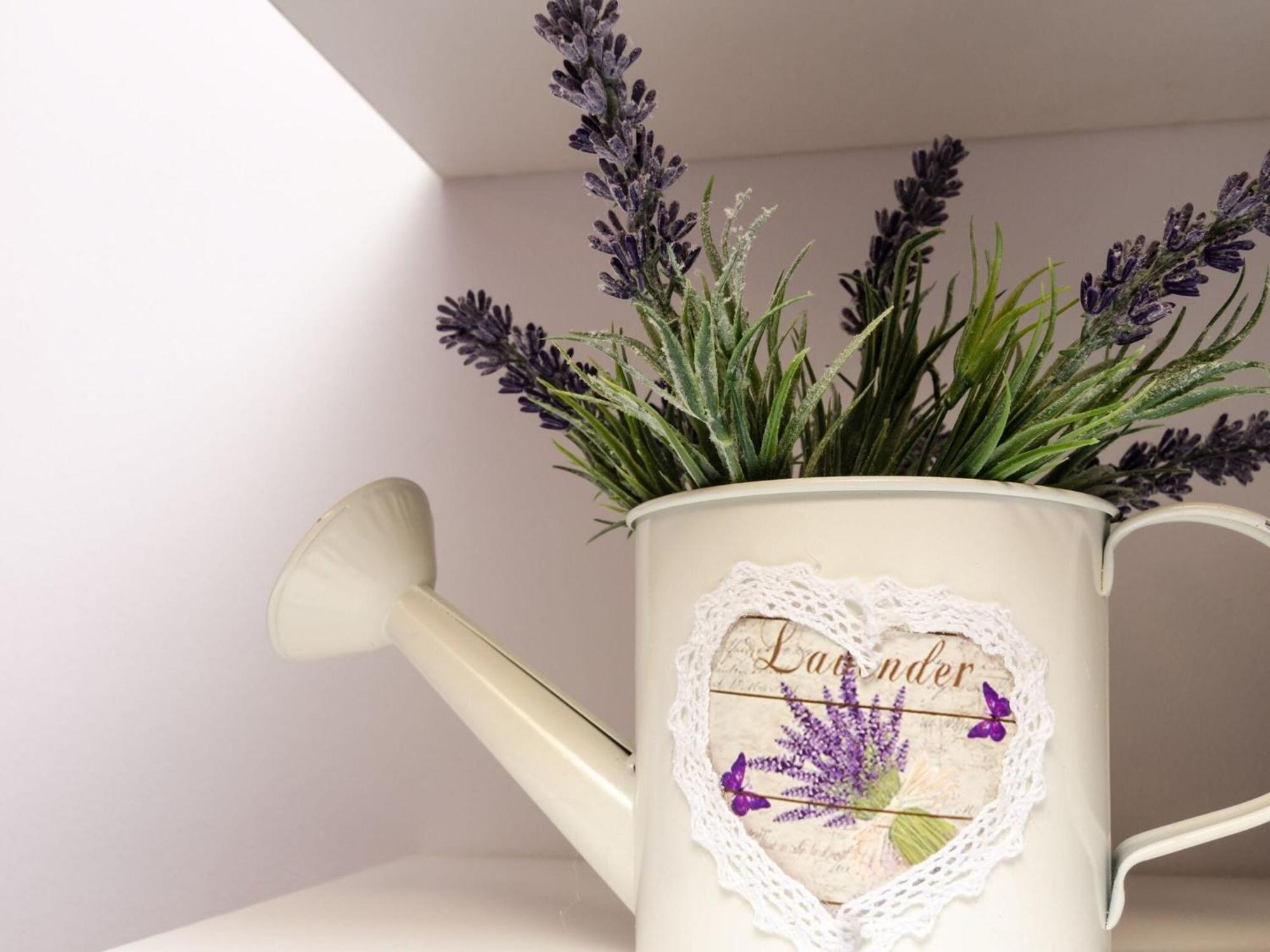 Apartment Lavender Garden - Ground Floor - 1 Dubrovnik