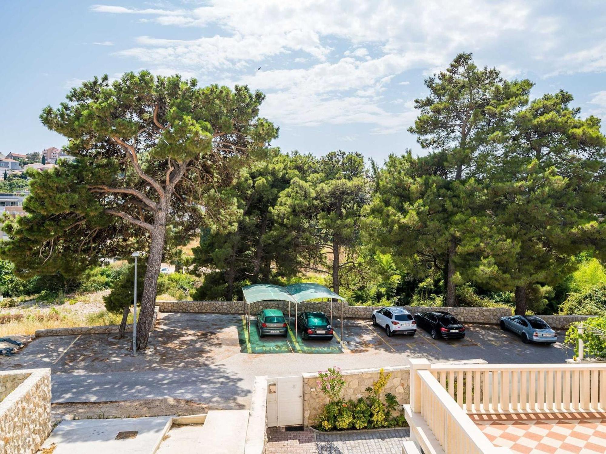 Borna Dubrovnik