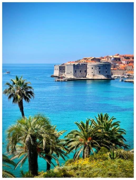 Boni A World Of Magic Dubrovnik