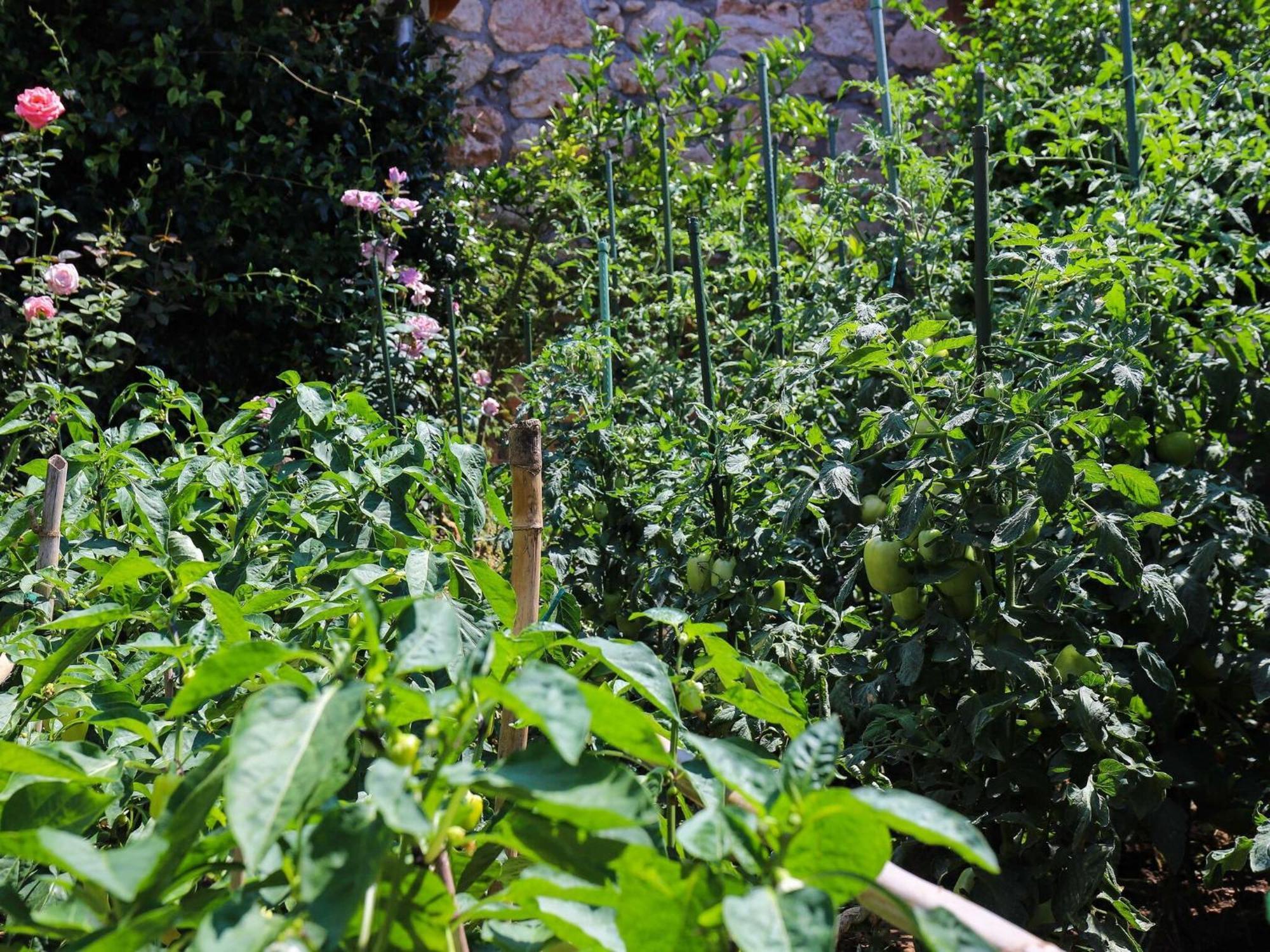 Garden M&m - One Bedroom Apartment Dubrovnik