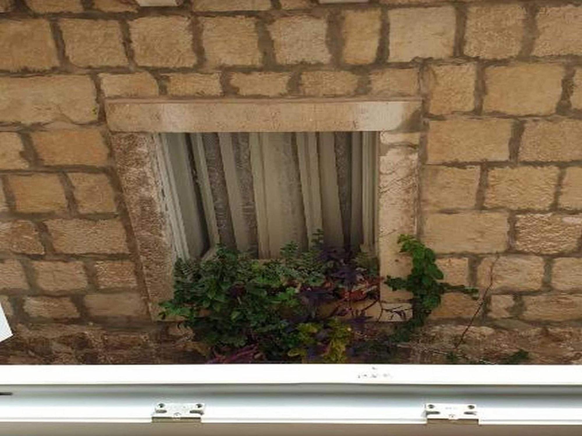 Pk - - Two Bedroom With View 1