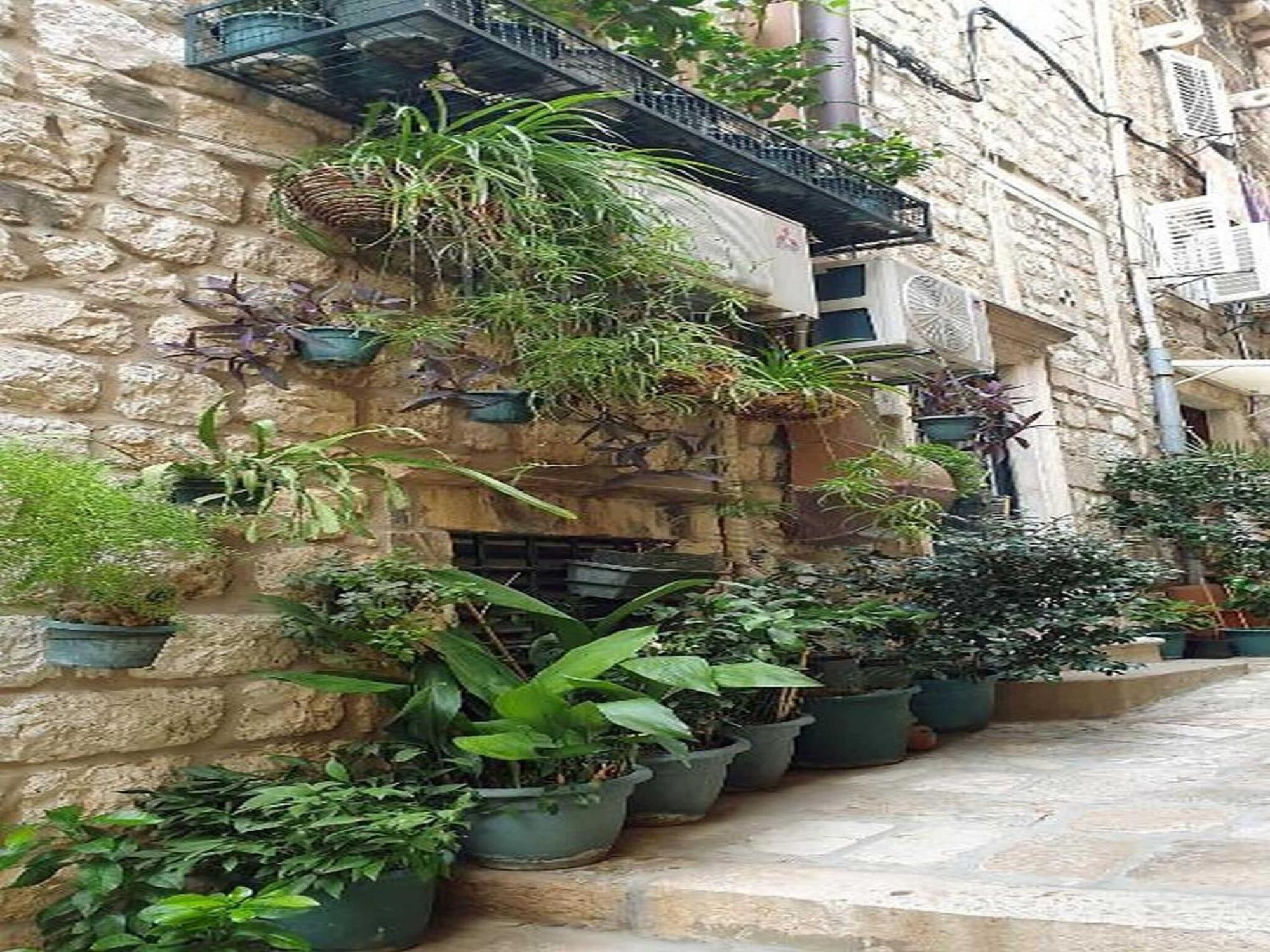 Pk - - Two Bedroom With View 1 Apartment