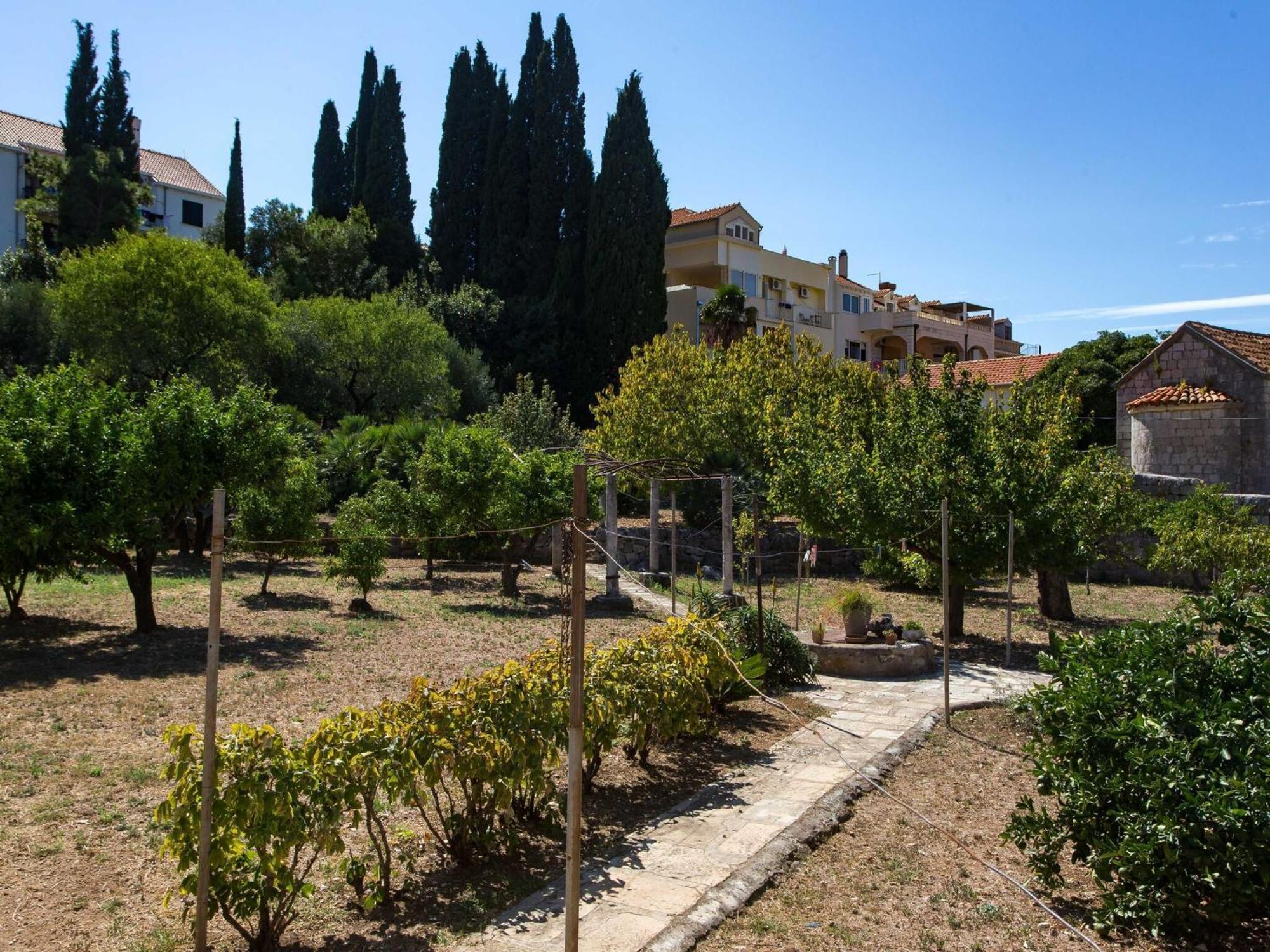 Katarina - Two-bedroom 4 Adults - Izme U Ribnjaka Street No 1 - #3 Apartment Dubrovnik