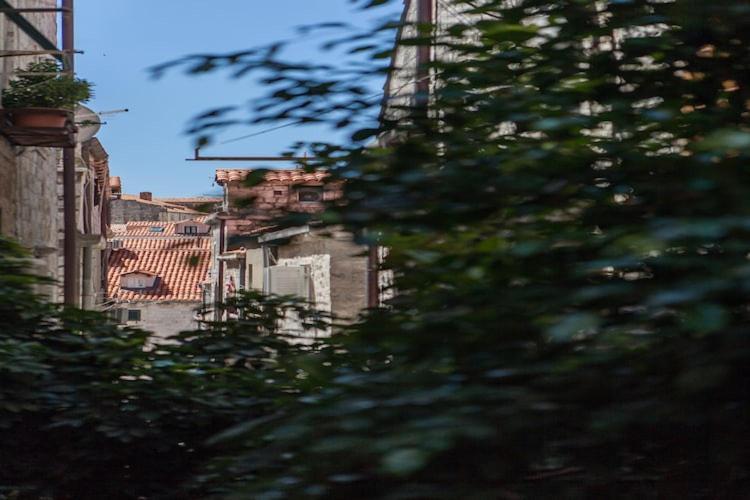 Apartment Noa Old Town - - Ground Floor *