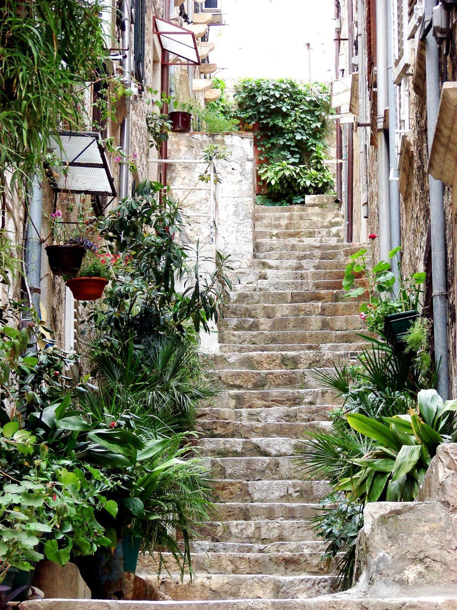 Tihana Dubrovnik