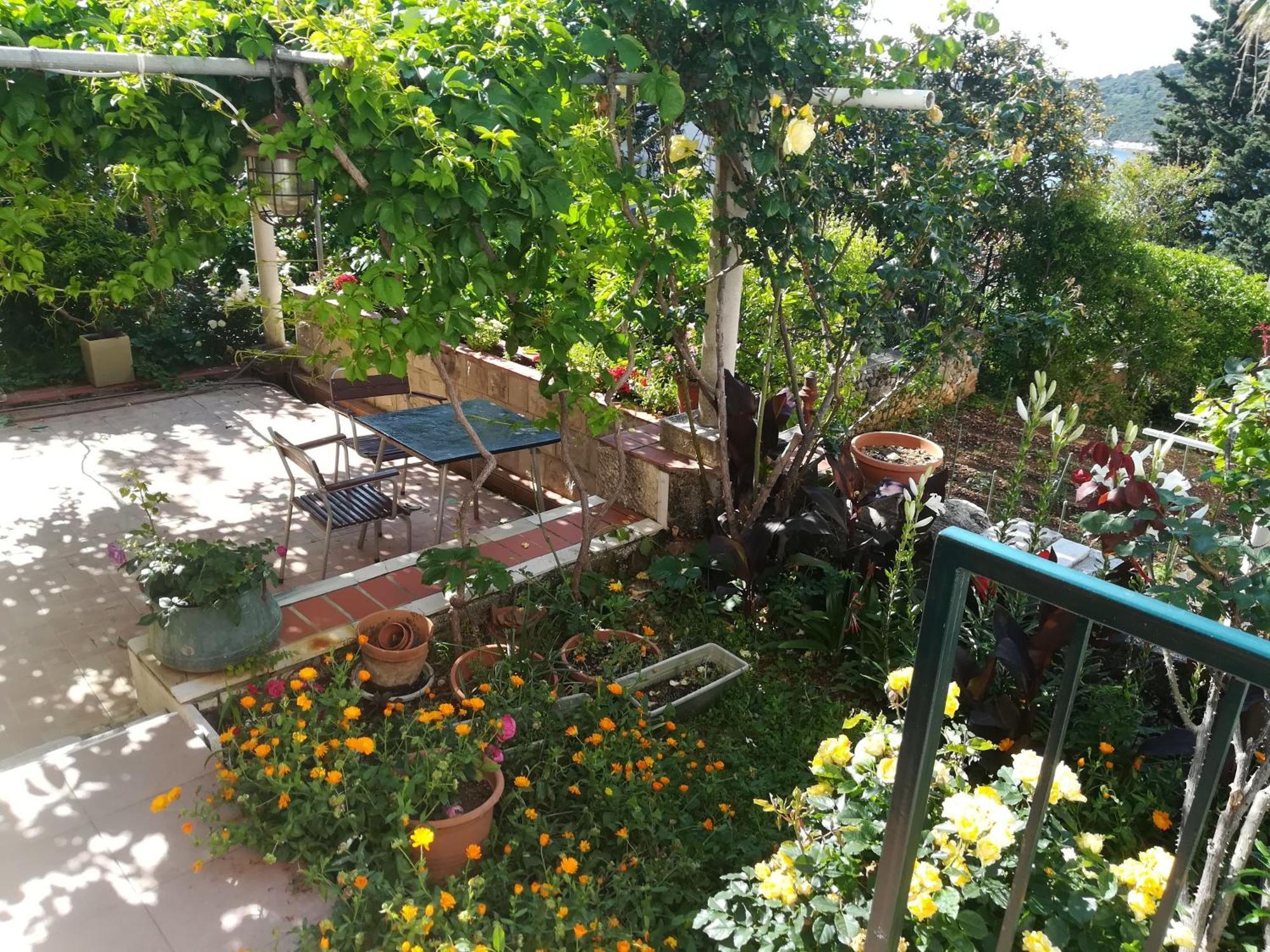 Fuer 3 Personen Ca, 30 M Sup2 In Dubrovnik, Dalmatien Neretva Appartement Dubrovnik