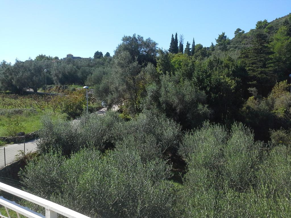 Danicic Guest house