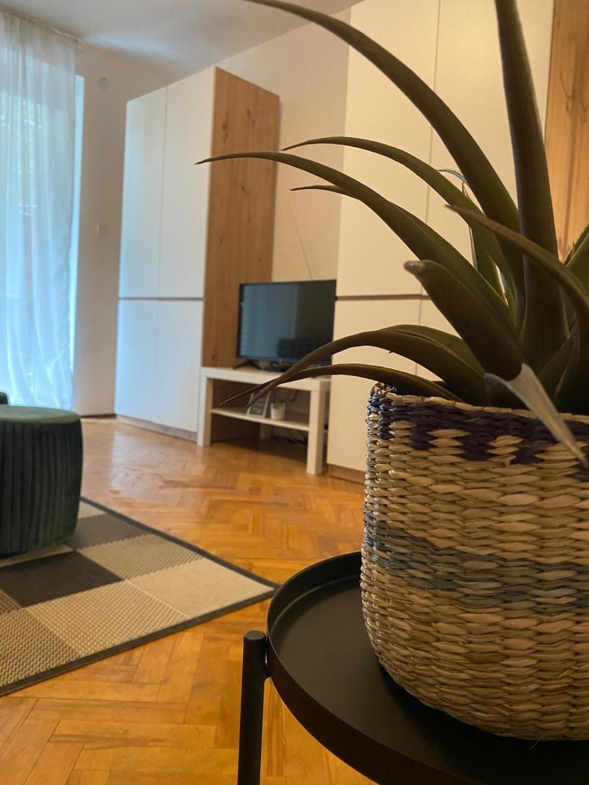 Ankora Batala Apartment *