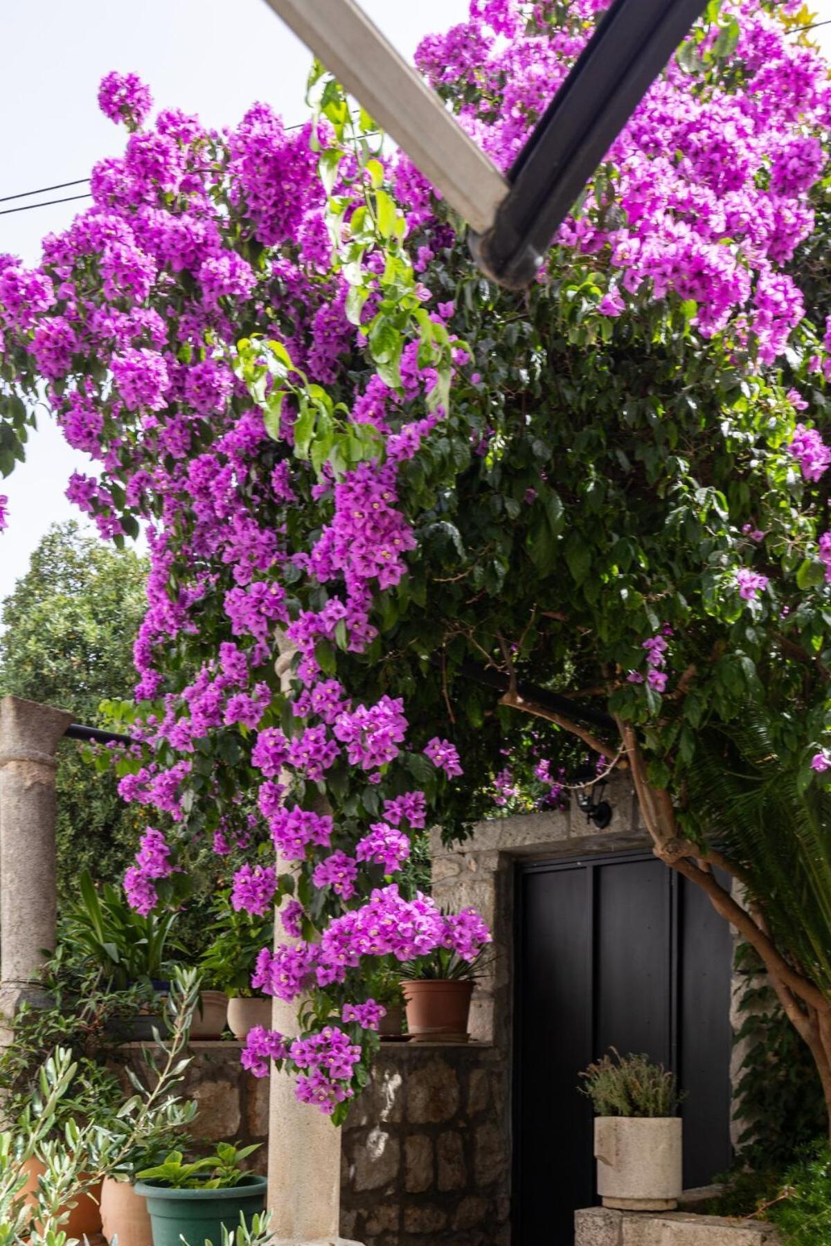 San Giorgio Apartment Dubrovnik