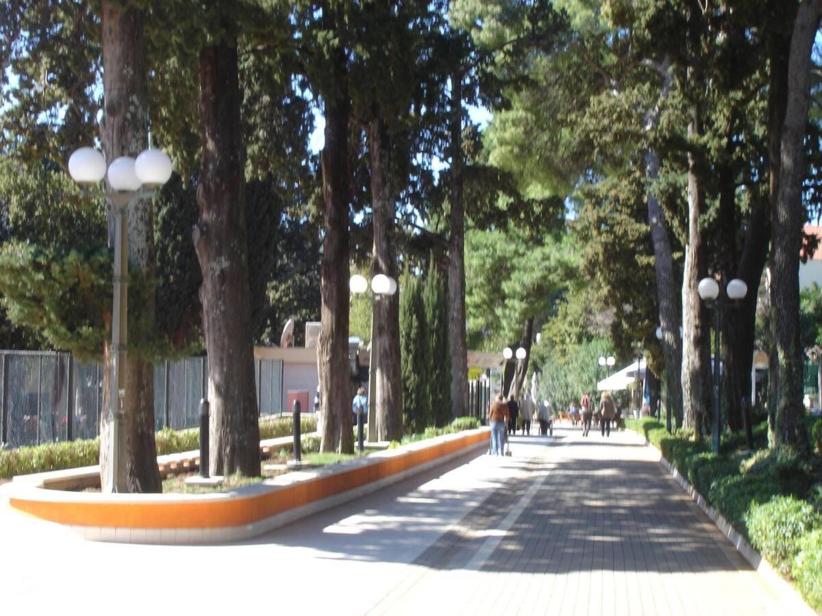 With Large Terrace Apartment *