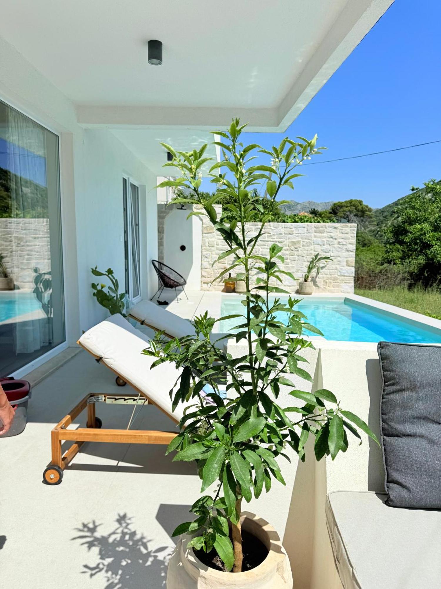 Pool 4 Leisure Apartment Dubrovnik