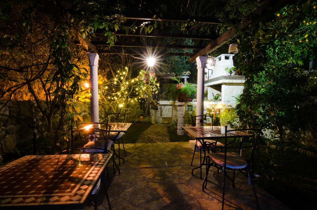 Bed & Breakfast Garden