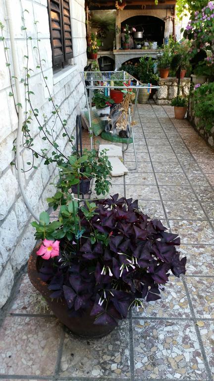 Guest house Ivona Dubrovnik