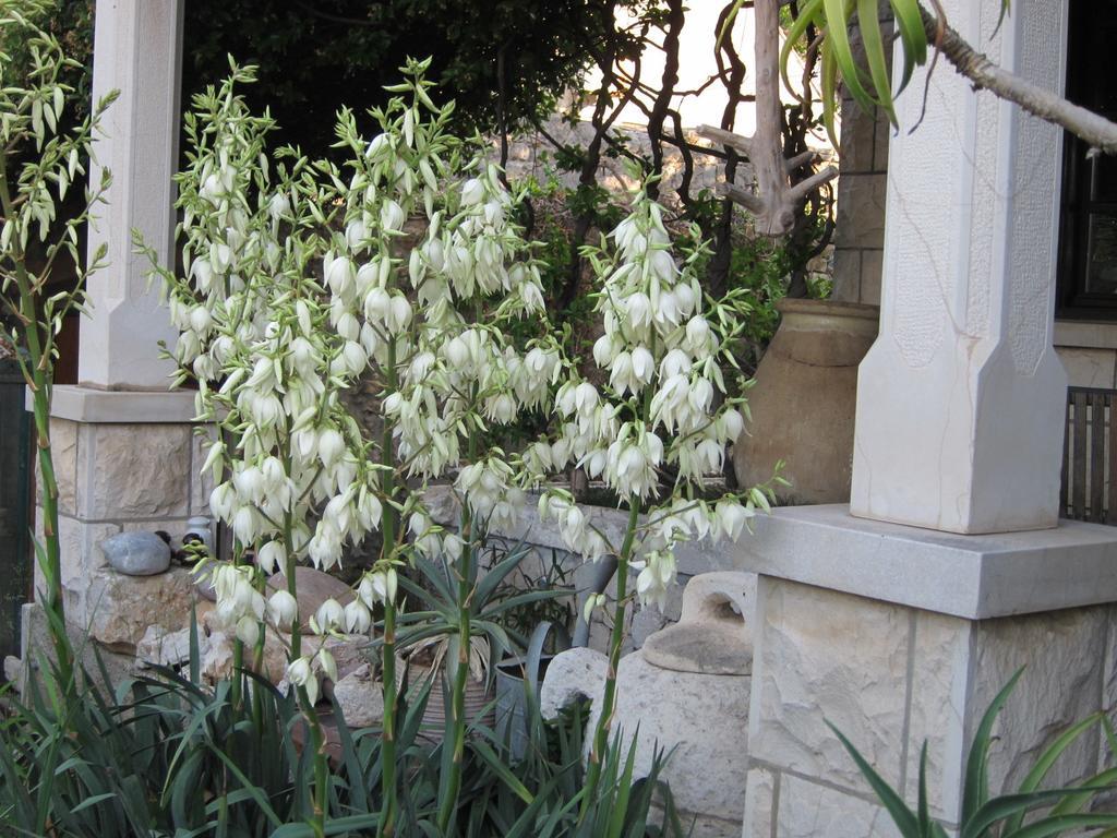 Maria Bilicic Guest house