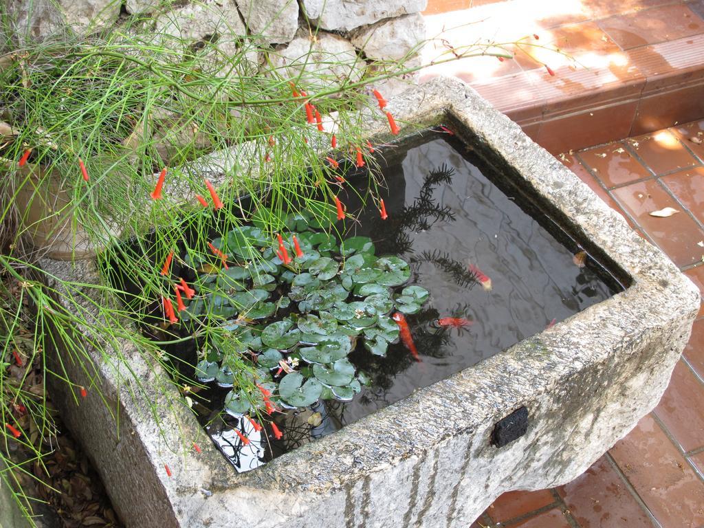 Guest house Maria Bilicic 3*