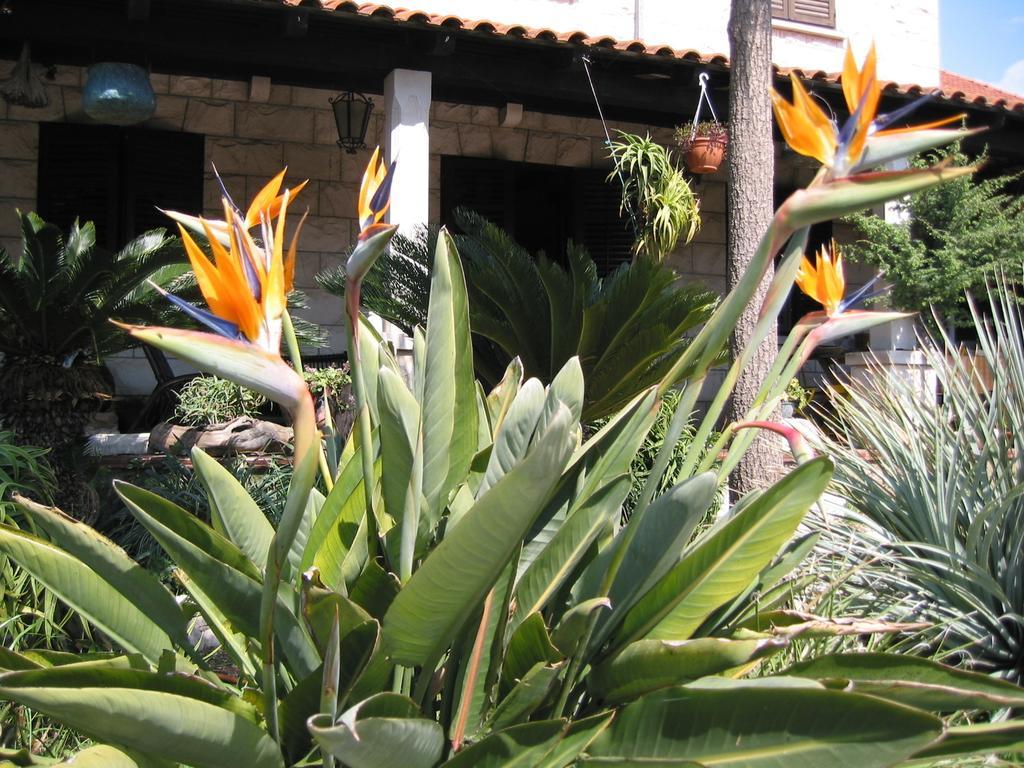 Maria Bilicic Guest house 3*