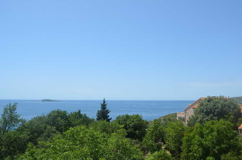 Apartment Martiva