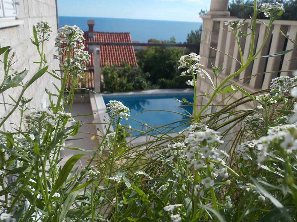 Guest house Guesthouse Villa Klaic Dubrovnik