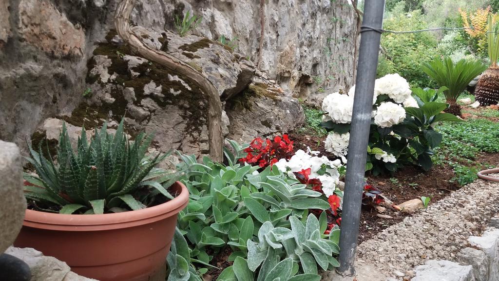 Danicic Dubrovnik