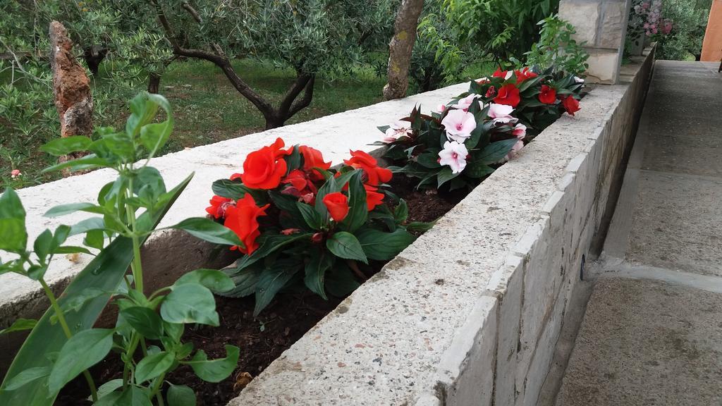 Guest house Danicic