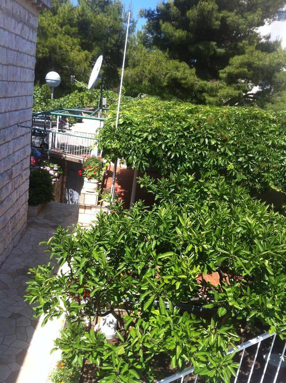 Jelena Guest house Dubrovnik
