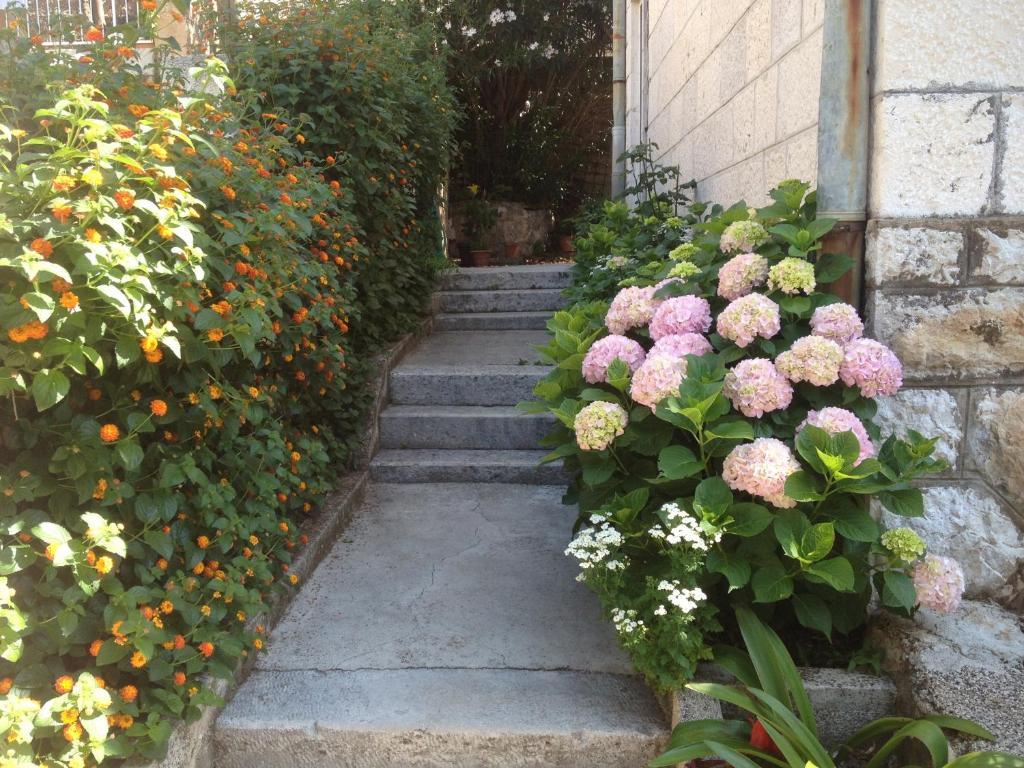 Flora Apartment