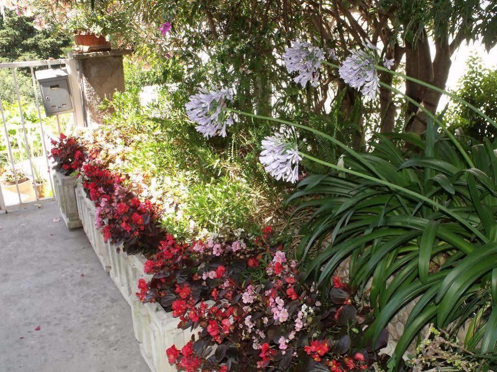 Apartment Plavi Zal