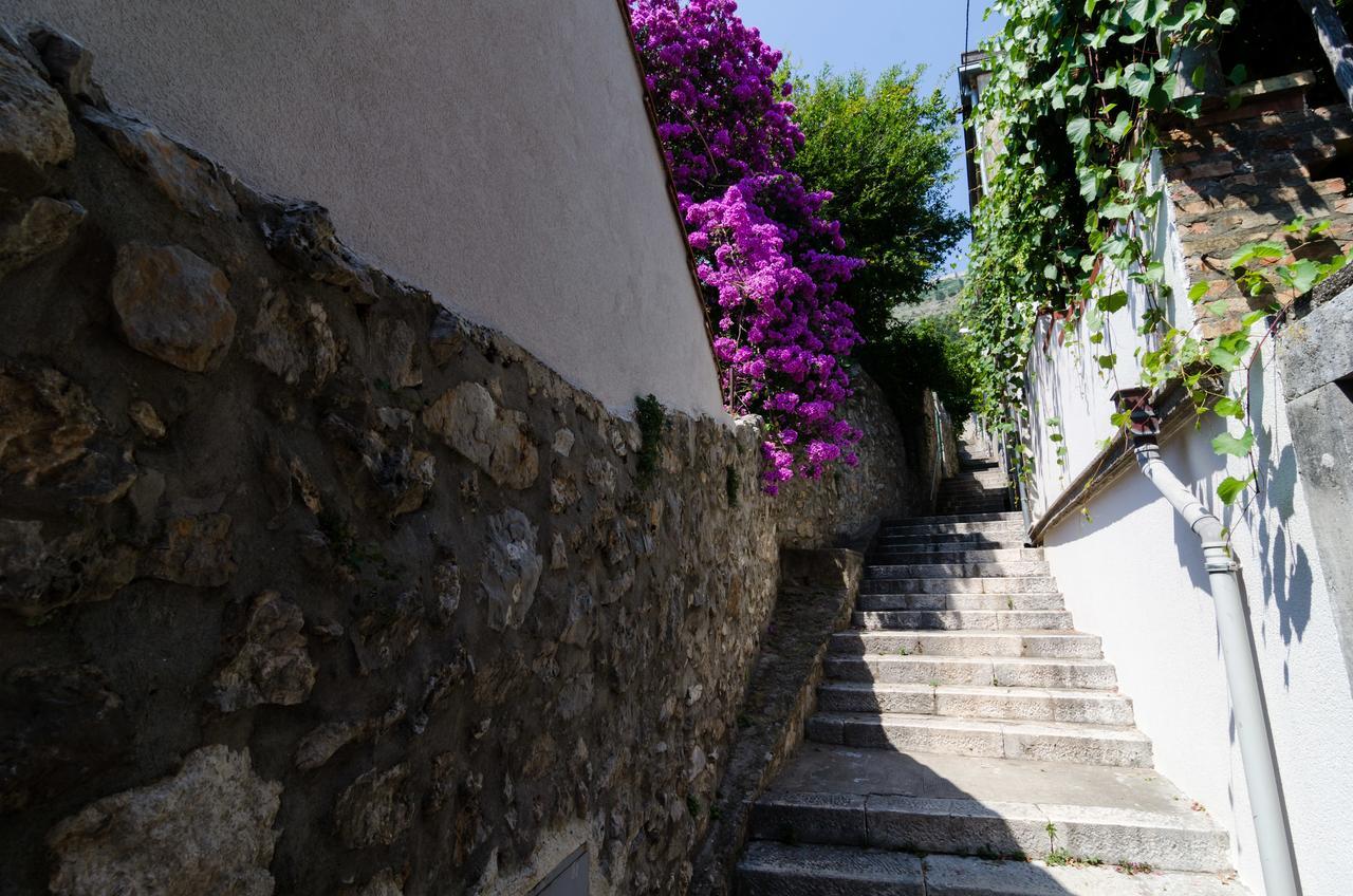 Guest house Grandma Summer House 3*