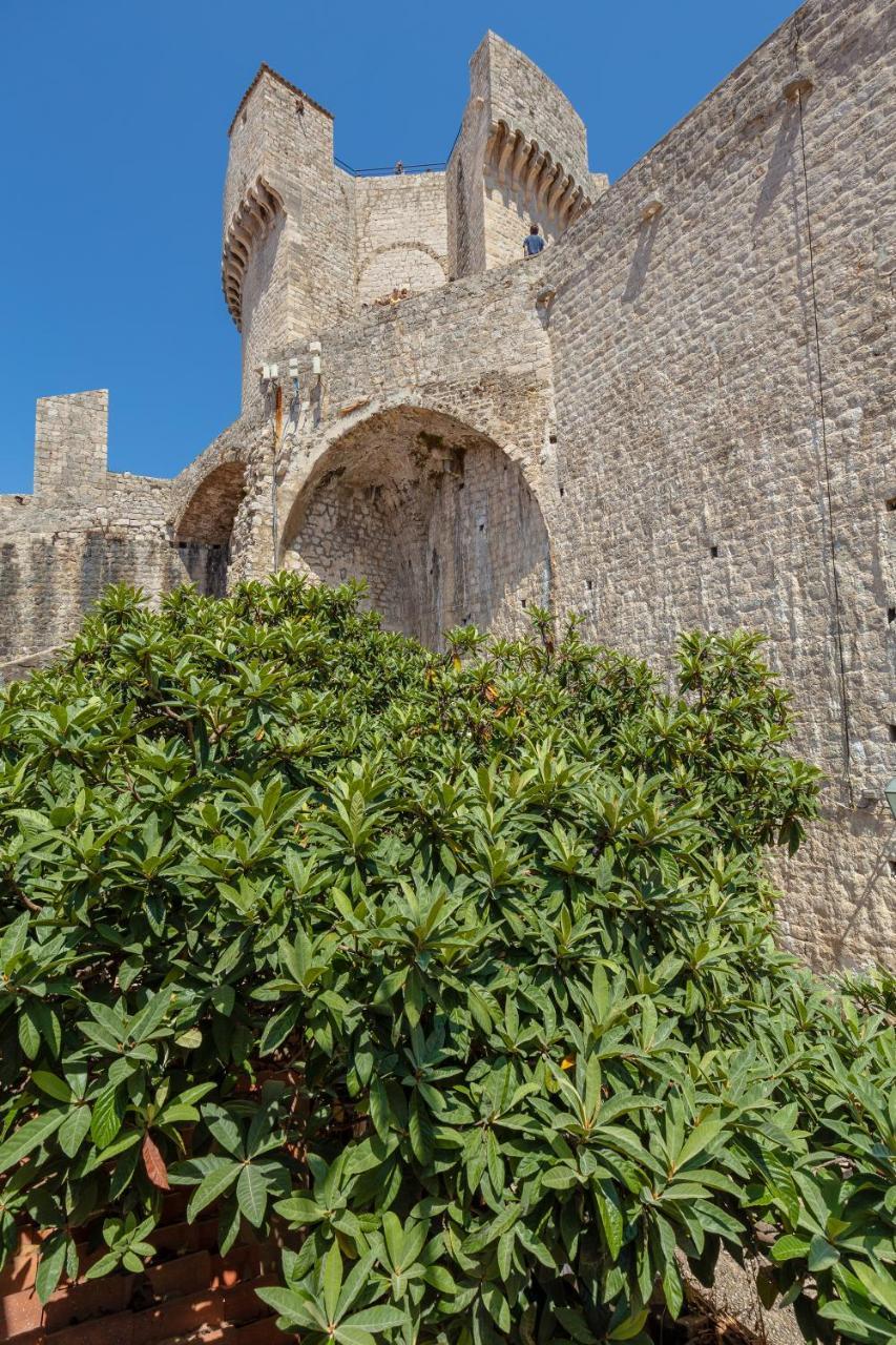 Apartment Dominium Old Dubrovnik