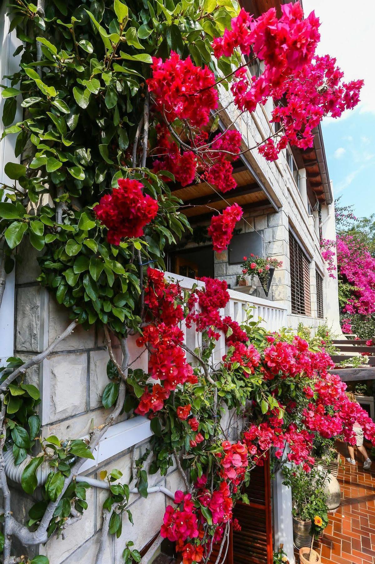 Sea Stone Guest house 3*