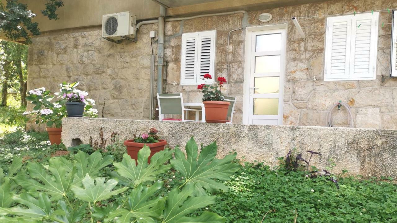 Felix * Dubrovnik
