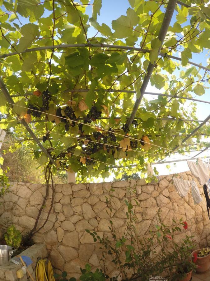 Guest house Bilos Dubrovnik