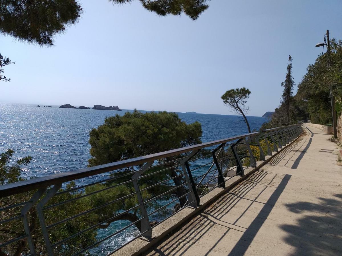Apartment Sendi 5 Min From The Dubrovnik