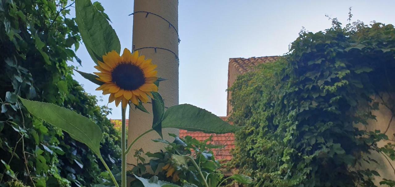 Apartment Ruza Dubrovnik