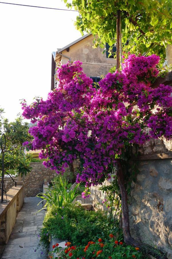 Apartment Matilda Dubrovnik