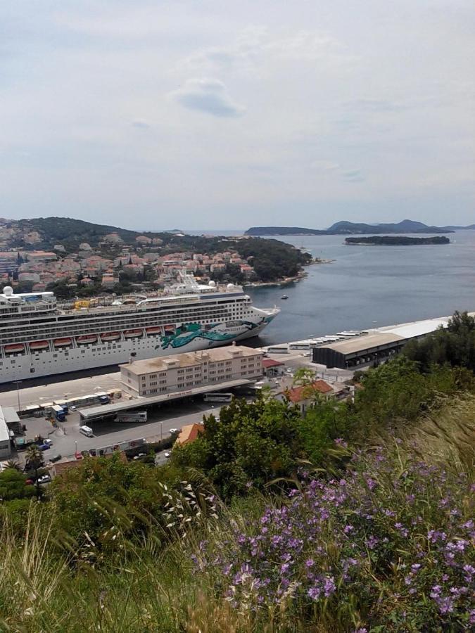 Taira * Dubrovnik