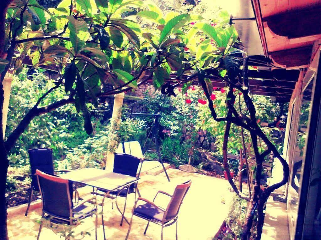Apartment Camelia Luxury Dubrovnik
