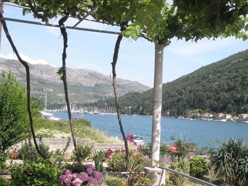 Gasthof House Knezevic 3*