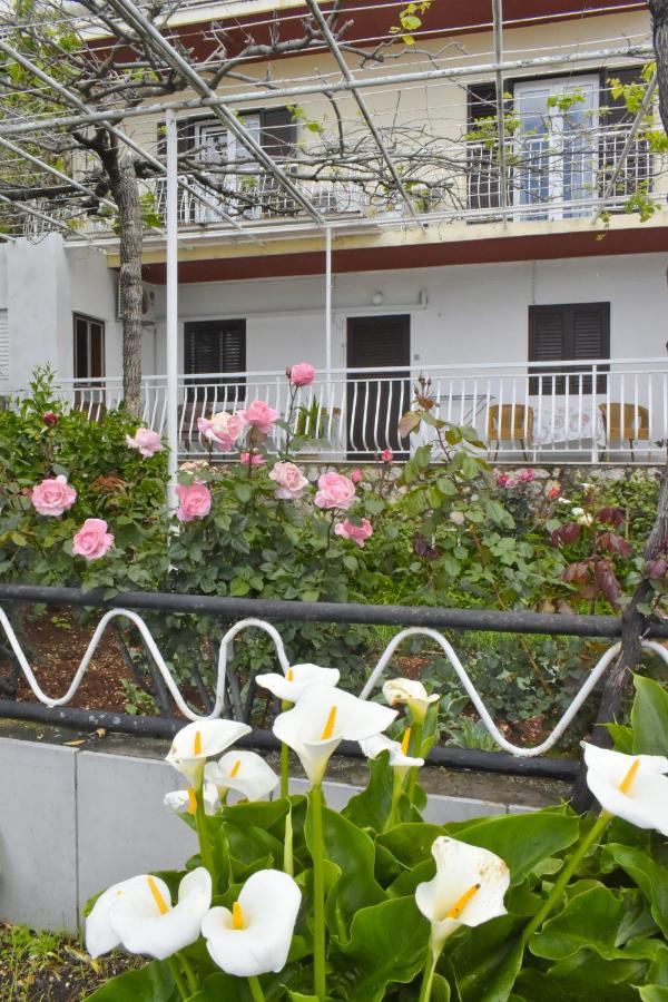 Guest house Monika