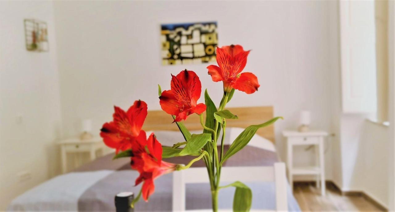 Prijeko Relax Apartment Dubrovnik