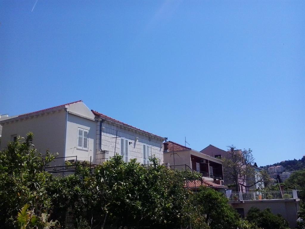 Ljilja Dubrovnik