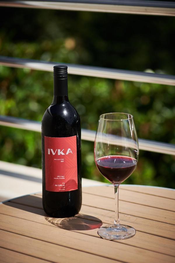 Ivka 4*