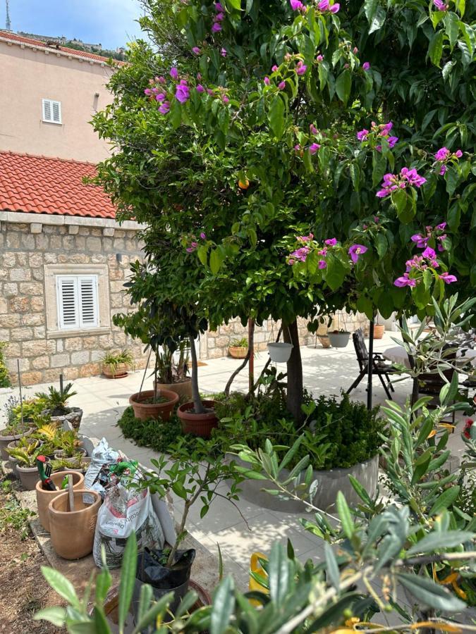 Lomara Dubrovnik