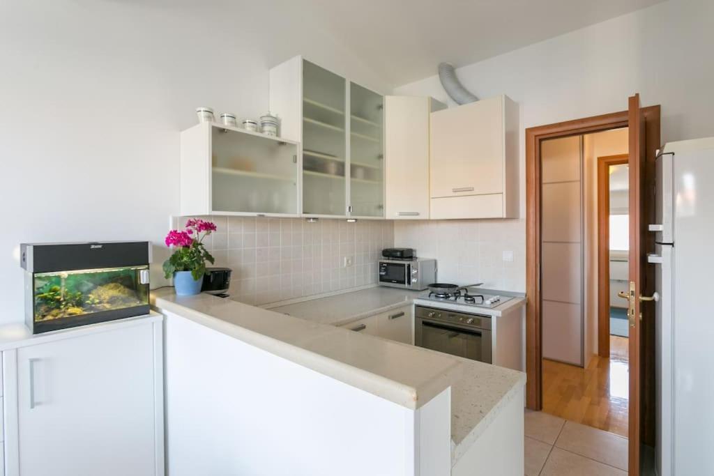 Swanky Gem Apartment *