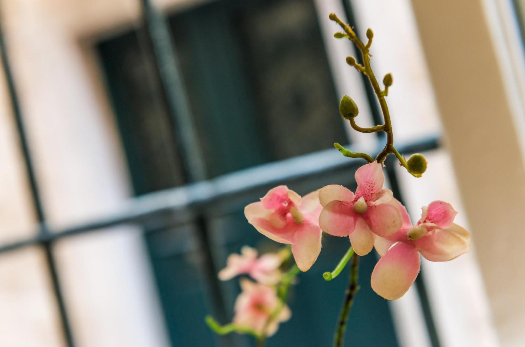 Tezoro Guest house 3*