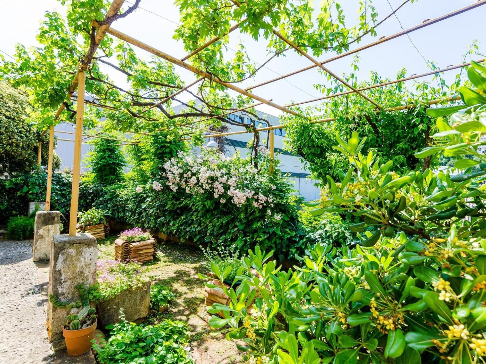 Ivana -two Bedroom With Garden *