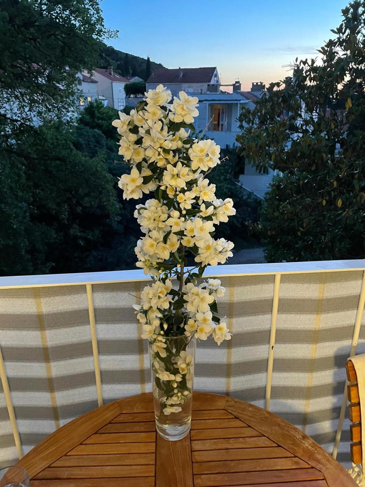 Johnny's Place With Free Parking & Balcony Dubrovnik